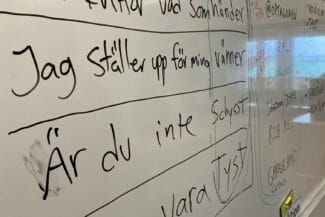 Hasselby-villastad-skapande-skola-grundskola