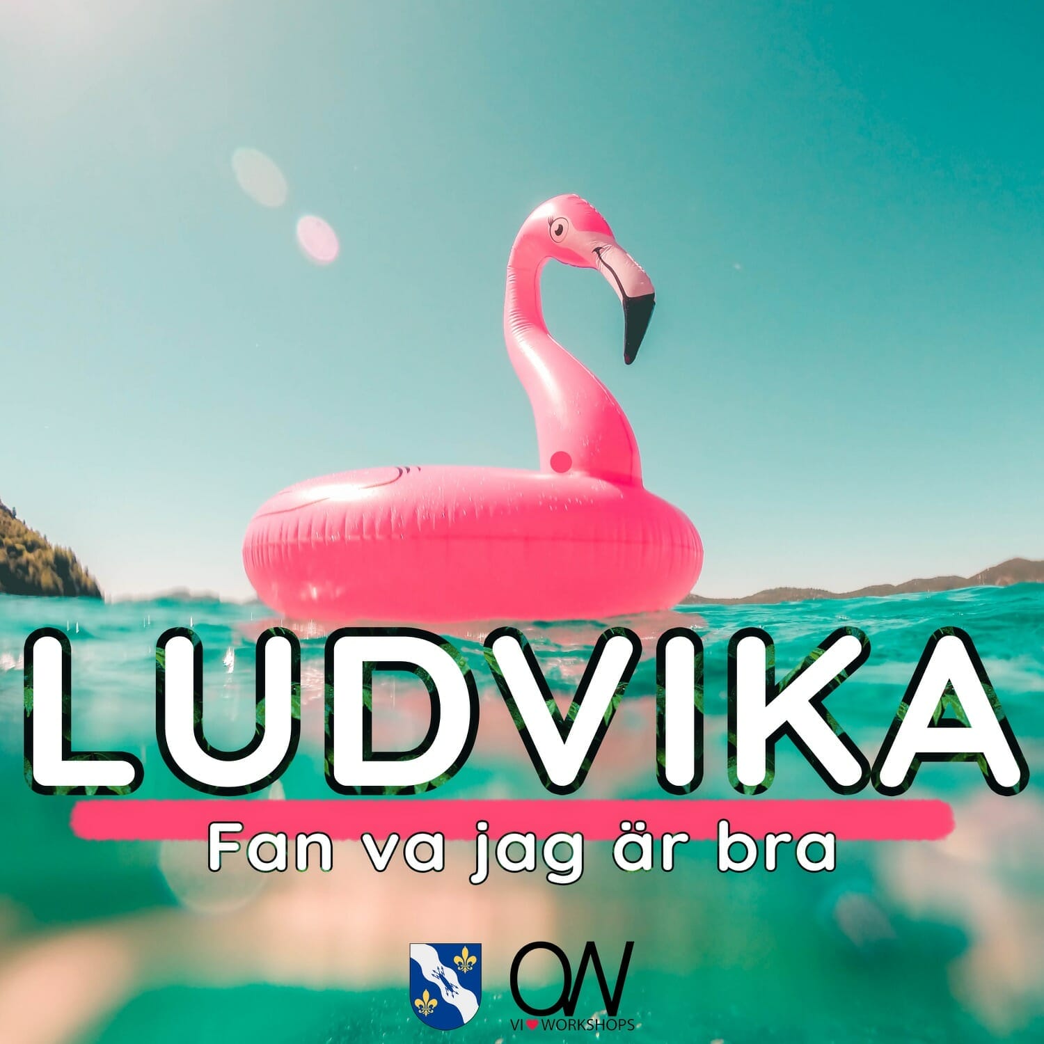 folkets-hus-Haffas-Ludvika-copy