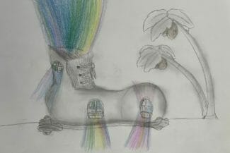 tekning elev Entréskolan