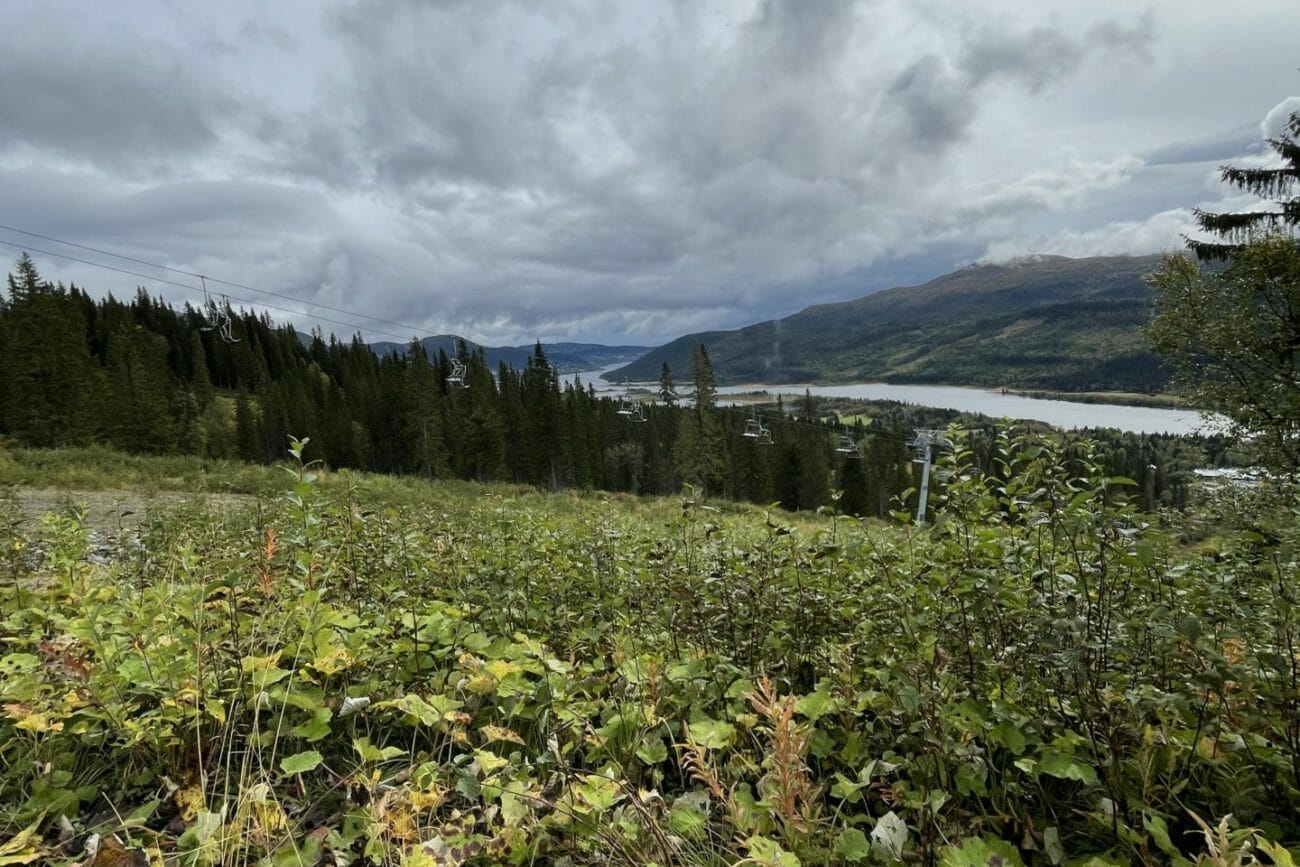 Naturbild Åre