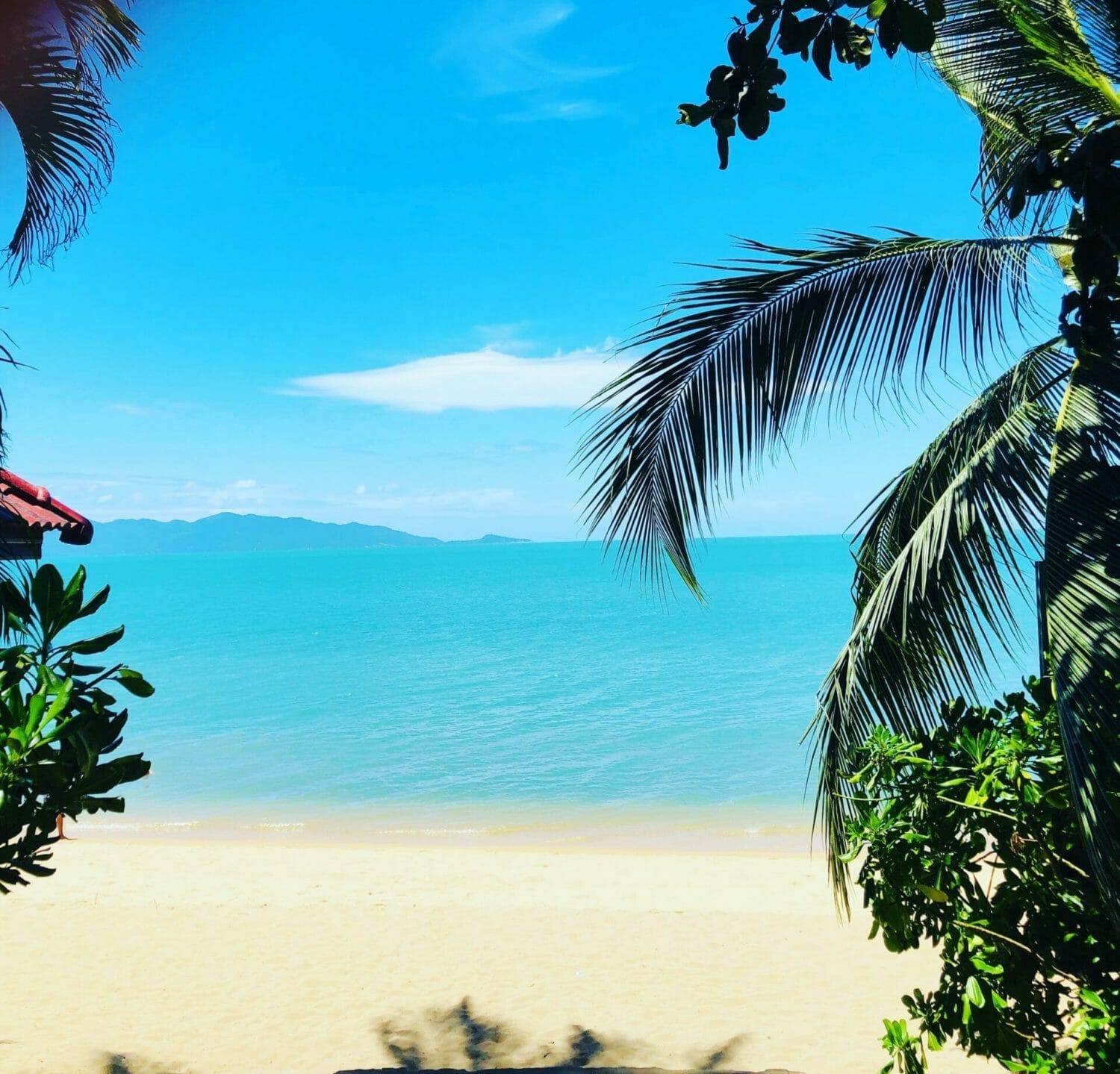 lita-ruza-oqEGgmOAA o-unsplash