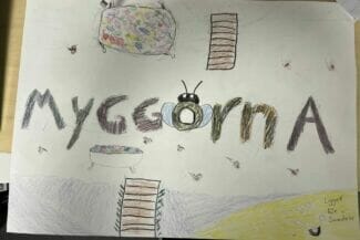 teckning av en text som säger myggorna