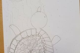 Bild av en sköldpadda