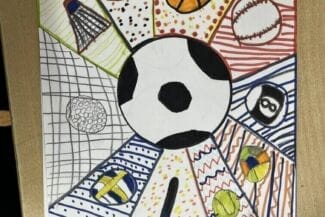 En bild av olika sport bollar