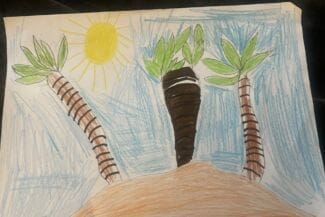 En bild av palmer på en ö