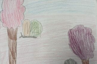 Teckning av en skog med en katt från elev på Gotland