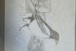 Ängelholms kommun - kultur veckan Optagonen Workshops - IMG 91026FD6-97B7-4037-AAF9-41D113FEE378