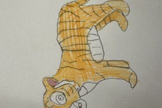 v. 45 Nordmaling-Skapande-Skola-1731933908-34