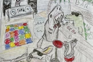 Optagonen Timrå kommun - 9d 1