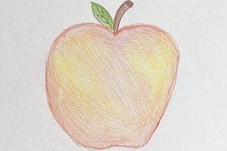 Optagonen Timrå kommun - 9f 2