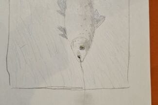 Överkalix 20250127 163511